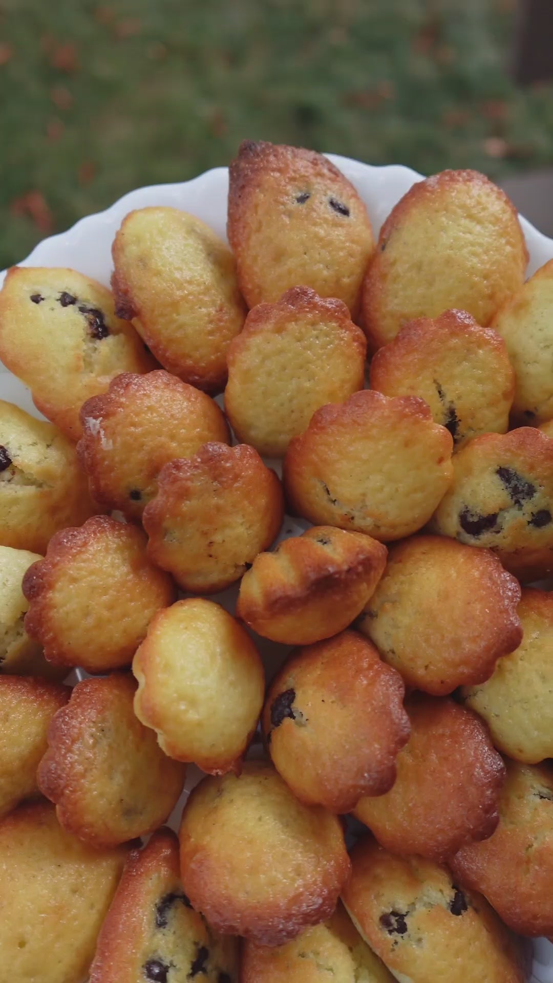 Charger la vidéo : 