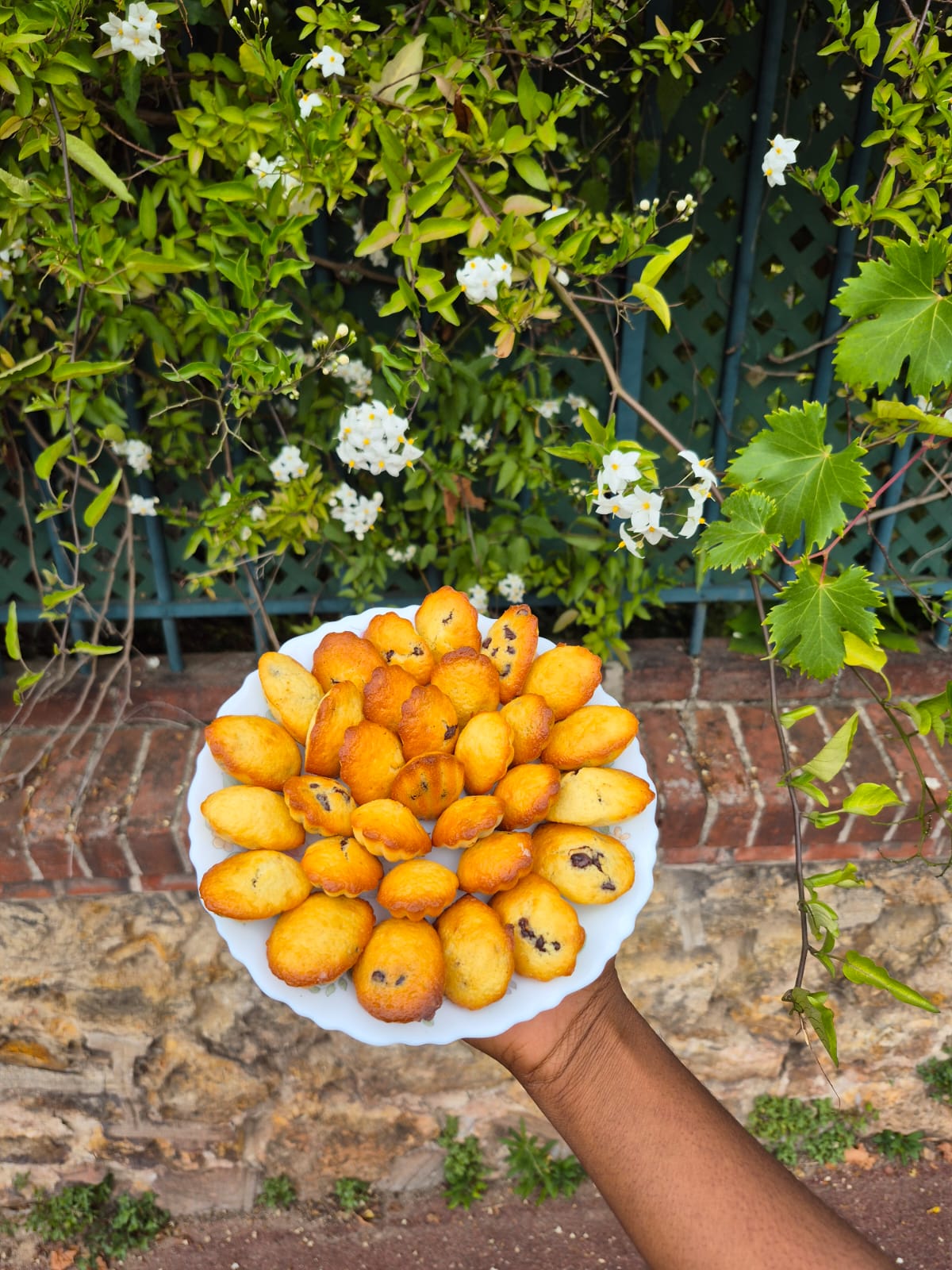 Mission Gâteau – Mini Madeleines